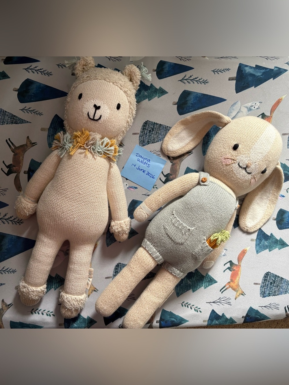 Cuddle + Kind: Lucas the Llama and Henry the Bunny bundle